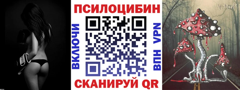 гидра рабочий сайт  продажа наркотиков  Фёдоровский  Псилоцибиновые грибы GOLDEN TEACHER 