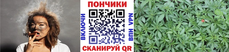 Бошки марихуана план  Фёдоровский 